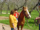 Ranch3.JPG (70784 bytes)